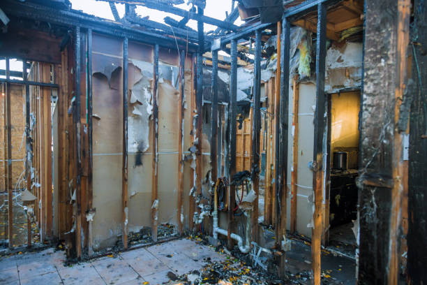 Professional Fire Damage Removal technician working in Minnetonka, MN