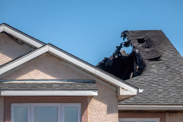 Top rated local Fire Damage Removal specialists in Minnetonka, MN